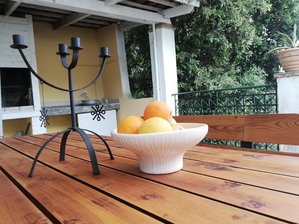 Olea Home Agia Pelagia Chlomou Dış mekan fotoğraf