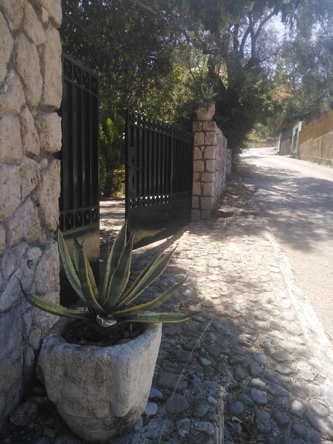 Olea Home Agia Pelagia Chlomou Dış mekan fotoğraf